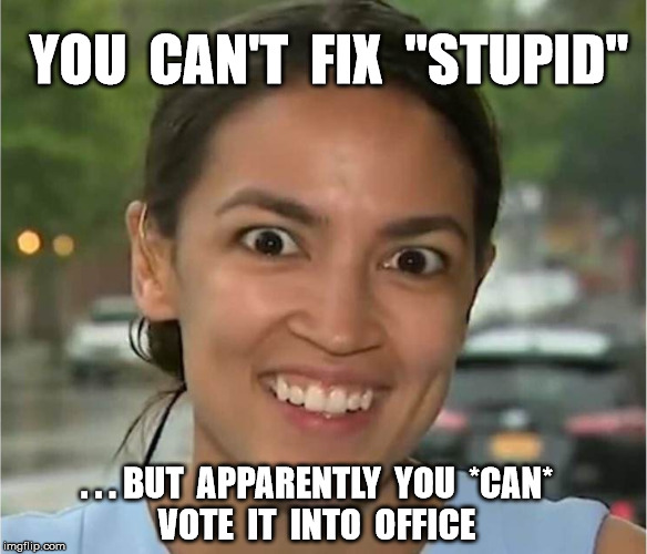 Alexandria Ocasio-Cortez looking "high" | YOU  CAN'T  FIX  "STUPID"; . . . BUT  APPARENTLY  YOU  *CAN*
VOTE  IT  INTO  OFFICE | image tagged in alexandria ocasio-cortez looking high | made w/ Imgflip meme maker
