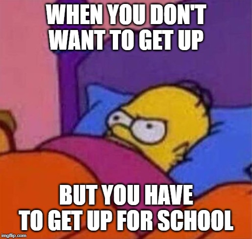 or if you want to check your imgflip account :P | WHEN YOU DON'T WANT TO GET UP; BUT YOU HAVE TO GET UP FOR SCHOOL | image tagged in angry homer simpson in bed | made w/ Imgflip meme maker