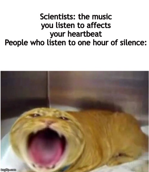 Press F to pay respects | Scientists: the music you listen to affects your heartbeat
People who listen to one hour of silence: | image tagged in funny | made w/ Imgflip meme maker