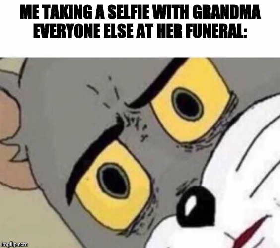 Tom Cat Unsettled Close up | ME TAKING A SELFIE WITH GRANDMA
EVERYONE ELSE AT HER FUNERAL: | image tagged in tom cat unsettled close up | made w/ Imgflip meme maker