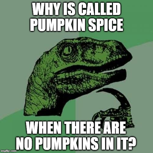 Improper Name | WHY IS CALLED PUMPKIN SPICE; WHEN THERE ARE NO PUMPKINS IN IT? | image tagged in memes,philosoraptor | made w/ Imgflip meme maker