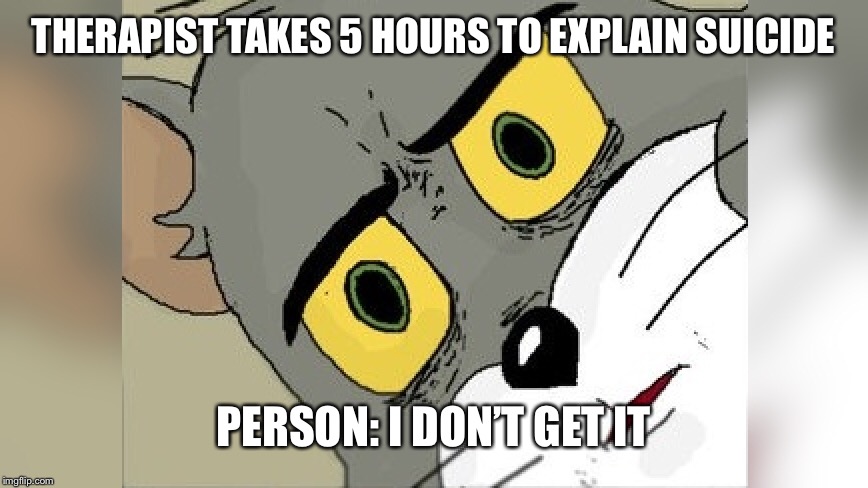 Just why | THERAPIST TAKES 5 HOURS TO EXPLAIN SUICIDE; PERSON: I DON’T GET IT | image tagged in just why,one does not simply,funny memes | made w/ Imgflip meme maker