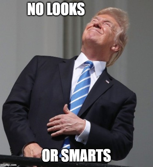 Trump Eclipse | NO LOOKS OR SMARTS | image tagged in trump eclipse | made w/ Imgflip meme maker