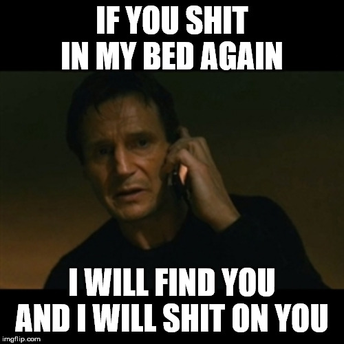 Liam Neeson Taken | IF YOU SHIT IN MY BED AGAIN; I WILL FIND YOU AND I WILL SHIT ON YOU | image tagged in memes,liam neeson taken | made w/ Imgflip meme maker