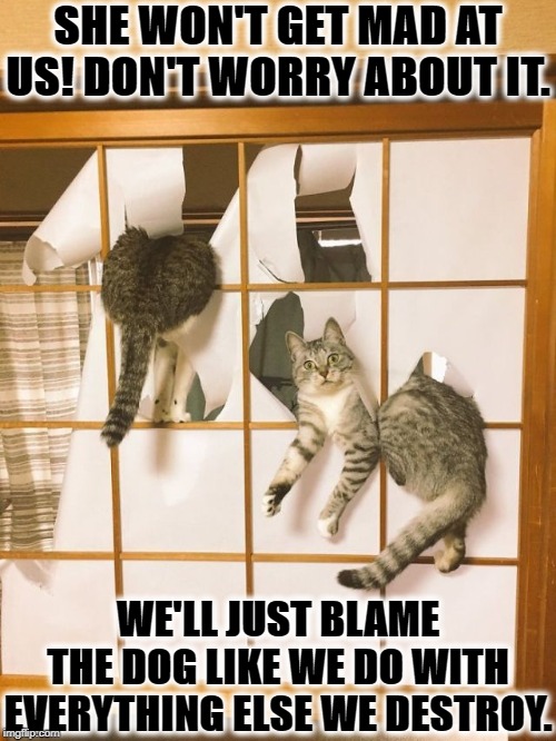 DOG DID IT | SHE WON'T GET MAD AT US! DON'T WORRY ABOUT IT. WE'LL JUST BLAME THE DOG LIKE WE DO WITH EVERYTHING ELSE WE DESTROY. | image tagged in dog did it | made w/ Imgflip meme maker