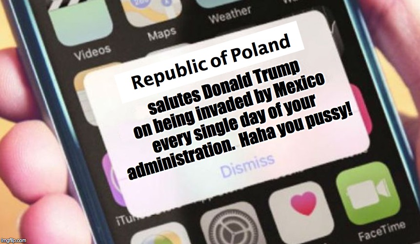 Presidential Alert Meme | Republic of Poland salutes Donald Trump on being invaded by Mexico every single day of your administration.  Haha you pussy! | image tagged in memes,presidential alert | made w/ Imgflip meme maker