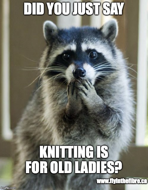Surprised Raccoon | DID YOU JUST SAY; KNITTING IS FOR OLD LADIES? www.flyinthefibre.ca | image tagged in surprised raccoon | made w/ Imgflip meme maker