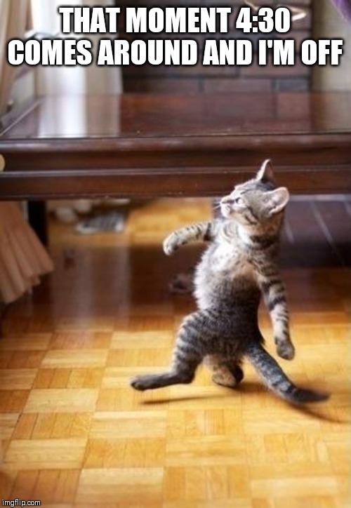 Cool Cat Stroll | THAT MOMENT 4:30 COMES AROUND AND I'M OFF | image tagged in memes,cool cat stroll | made w/ Imgflip meme maker