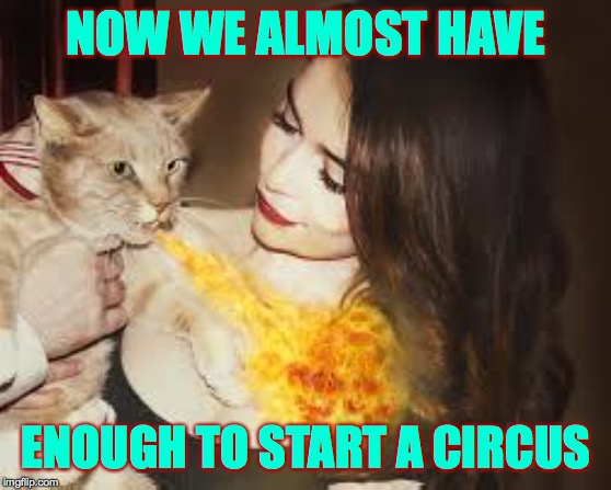 NOW WE ALMOST HAVE ENOUGH TO START A CIRCUS | made w/ Imgflip meme maker