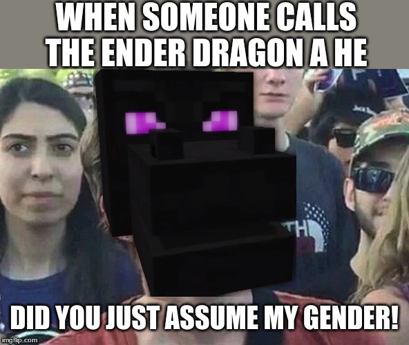 meme angry woman | WHEN SOMEONE CALLS THE ENDER DRAGON A HE; DID YOU JUST ASSUME MY GENDER! | image tagged in meme angry woman | made w/ Imgflip meme maker