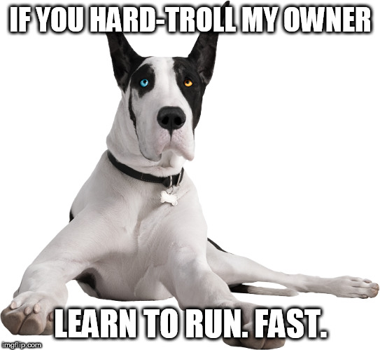 RUN FAST | IF YOU HARD-TROLL MY OWNER; LEARN TO RUN. FAST. | image tagged in large dogs,trolling,funny memes | made w/ Imgflip meme maker
