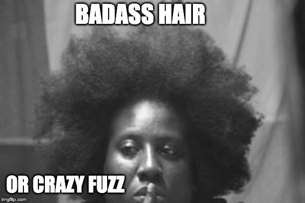 Hair gone wild | BADASS HAIR; OR CRAZY FUZZ | image tagged in wildlife | made w/ Imgflip meme maker