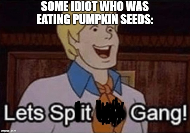 Let’s split up hang! | SOME IDIOT WHO WAS EATING PUMPKIN SEEDS: | image tagged in lets split up hang | made w/ Imgflip meme maker