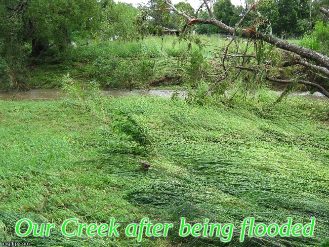 Our Creek after being flooded | Our Creek after being flooded | image tagged in memes,after flood | made w/ Imgflip meme maker