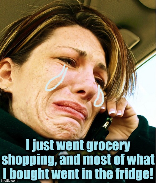 Crying on Phone | I just went grocery shopping, and most of what I bought went in the fridge! | image tagged in crying on phone | made w/ Imgflip meme maker