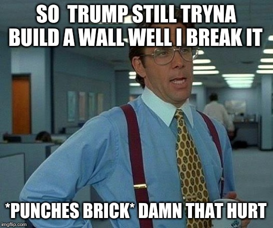 That Would Be Great | SO  TRUMP STILL TRYNA BUILD A WALL WELL I BREAK IT; *PUNCHES BRICK* DAMN THAT HURT | image tagged in memes,that would be great | made w/ Imgflip meme maker