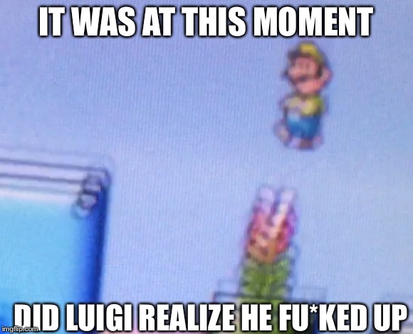 IT WAS AT THIS MOMENT DID LUIGI REALIZE HE FU*KED UP | made w/ Imgflip meme maker