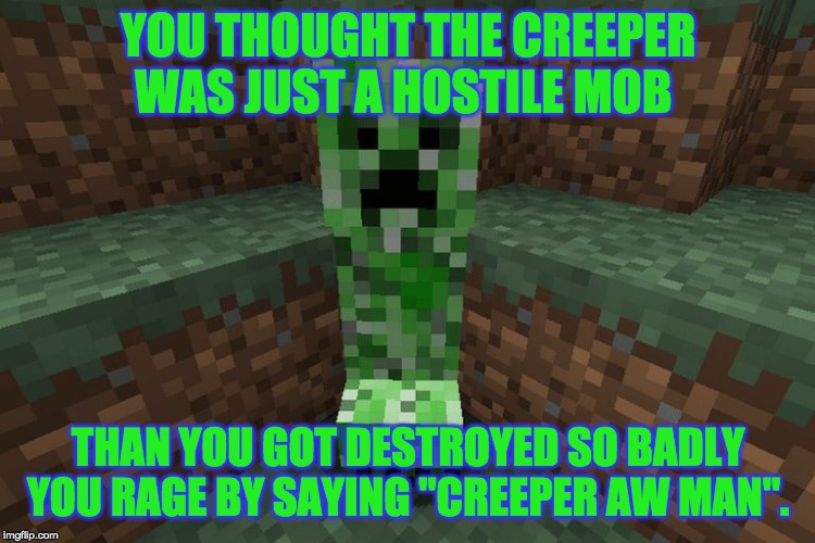 creeper aww man | YOU THOUGHT THE CREEPER WAS JUST A HOSTILE MOB; THAN YOU GOT DESTROYED SO BADLY YOU RAGE BY SAYING "CREEPER AW MAN". | image tagged in creeper aww man | made w/ Imgflip meme maker