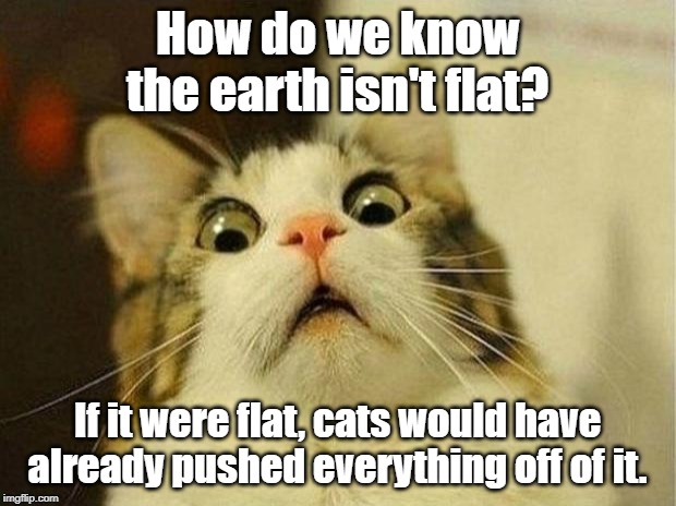 Scared Cat | How do we know the earth isn't flat? If it were flat, cats would have already pushed everything off of it. | image tagged in memes,scared cat | made w/ Imgflip meme maker