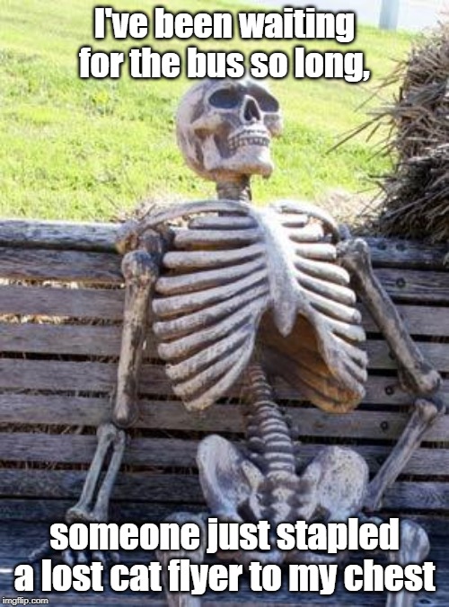 Waiting Skeleton Meme | I've been waiting for the bus so long, someone just stapled a lost cat flyer to my chest | image tagged in memes,waiting skeleton,cats | made w/ Imgflip meme maker