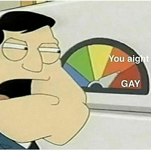 High Quality You aight gay Blank Meme Template