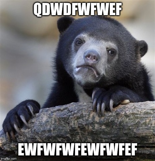 Confession Bear | QDWDFWFWEF; EWFWFWFEWFWFEF | image tagged in memes,confession bear | made w/ Imgflip meme maker