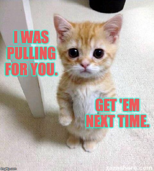 Cute Cat Meme | I WAS PULLING FOR YOU. GET 'EM NEXT TIME. | image tagged in memes,cute cat | made w/ Imgflip meme maker