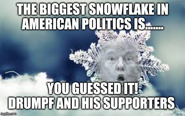 Creepy Condescending Wonka | THE BIGGEST SNOWFLAKE IN AMERICAN POLITICS IS....... YOU GUESSED IT! DRUMPF AND HIS SUPPORTERS | image tagged in creepy condescending wonka,memes | made w/ Imgflip meme maker