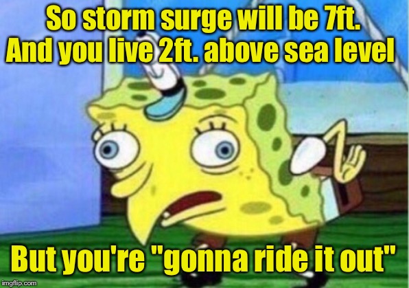 Mocking Spongebob Meme |  So storm surge will be 7ft. And you live 2ft. above sea level; But you're "gonna ride it out" | image tagged in memes,mocking spongebob | made w/ Imgflip meme maker