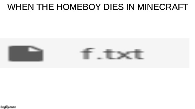 F | WHEN THE HOMEBOY DIES IN MINECRAFT | image tagged in text | made w/ Imgflip meme maker