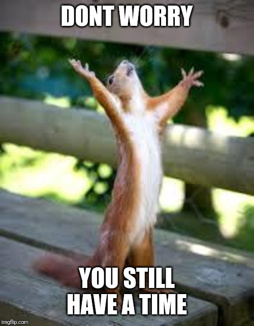 Praise Squirrel | DONT WORRY; YOU STILL HAVE A TIME | image tagged in praise squirrel | made w/ Imgflip meme maker