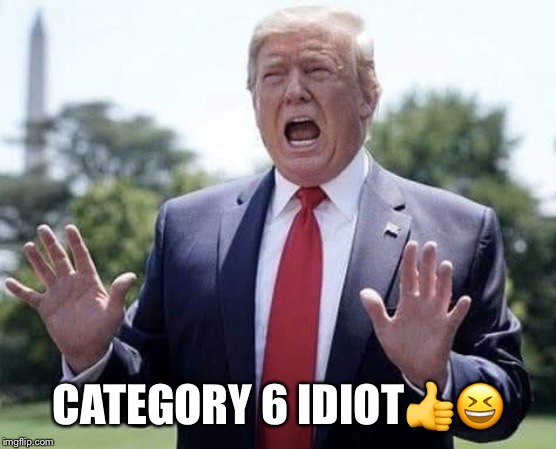 Category 6 Idiot | CATEGORY 6 IDIOT👍😆 | image tagged in donald trump,category 6,idiot,moron,lol so funny,hurricane dorian | made w/ Imgflip meme maker