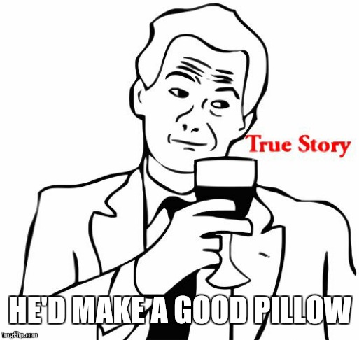 True Story Meme | HE'D MAKE A GOOD PILLOW | image tagged in memes,true story | made w/ Imgflip meme maker