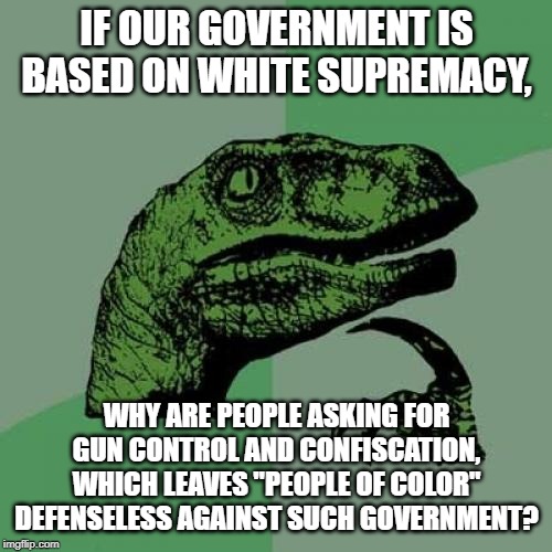 Remember the most important facet of 2A -- Defense against tyranny. | IF OUR GOVERNMENT IS BASED ON WHITE SUPREMACY, WHY ARE PEOPLE ASKING FOR GUN CONTROL AND CONFISCATION, WHICH LEAVES "PEOPLE OF COLOR" DEFENSELESS AGAINST SUCH GOVERNMENT? | image tagged in memes,philosoraptor,gun control,2nd amendment,white supremacy,people of color | made w/ Imgflip meme maker