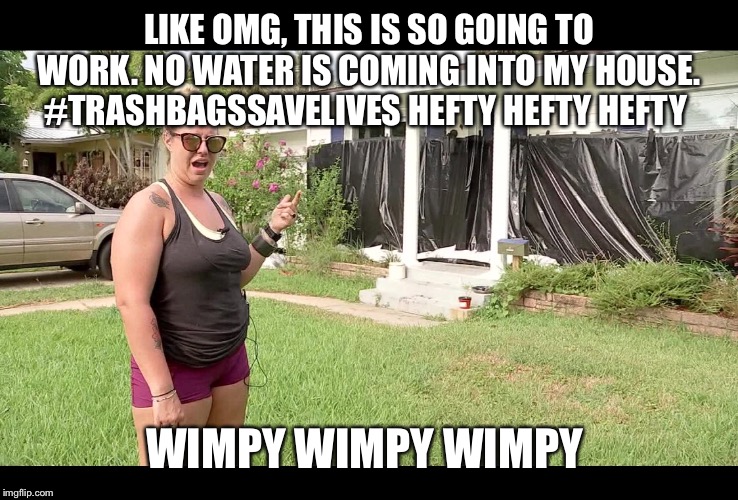 Hurricane Dorian Proof | LIKE OMG, THIS IS SO GOING TO WORK. NO WATER IS COMING INTO MY HOUSE. #TRASHBAGSSAVELIVES HEFTY HEFTY HEFTY; WIMPY WIMPY WIMPY | image tagged in omg,what,hurricane dorian,like,trash,save me | made w/ Imgflip meme maker
