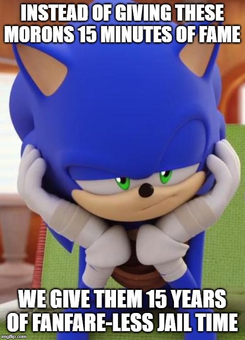 Disappointed Sonic | INSTEAD OF GIVING THESE MORONS 15 MINUTES OF FAME WE GIVE THEM 15 YEARS OF FANFARE-LESS JAIL TIME | image tagged in disappointed sonic | made w/ Imgflip meme maker