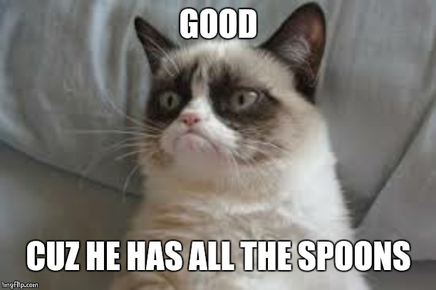 Grumpy cat | GOOD CUZ HE HAS ALL THE SPOONS | image tagged in grumpy cat | made w/ Imgflip meme maker