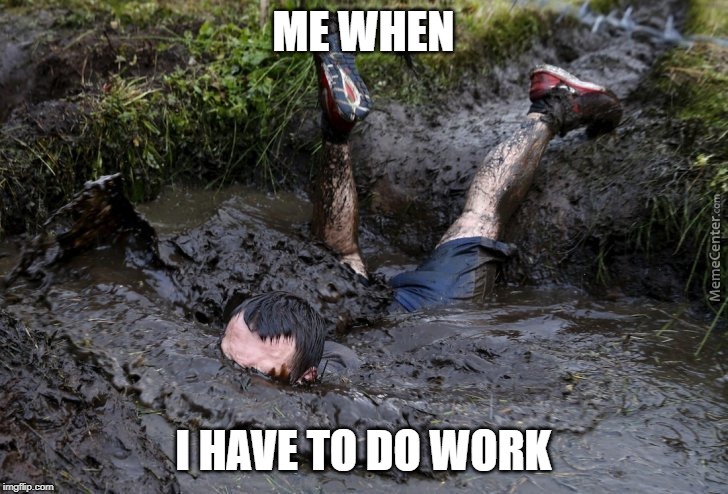 Mud flop | ME WHEN; I HAVE TO DO WORK | image tagged in mud flop | made w/ Imgflip meme maker