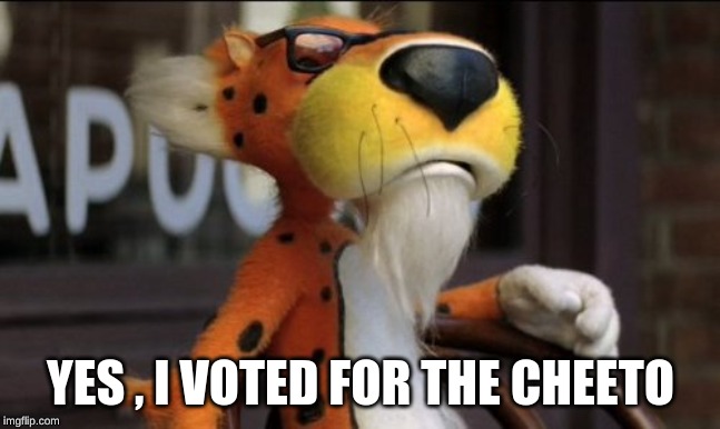 chester cheeto | YES , I VOTED FOR THE CHEETO | image tagged in chester cheeto | made w/ Imgflip meme maker