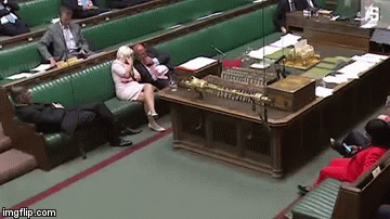 Rees-Mogg | image tagged in gifs,rees-mogg,brexit,uk,caroline lucas | made w/ Imgflip video-to-gif maker