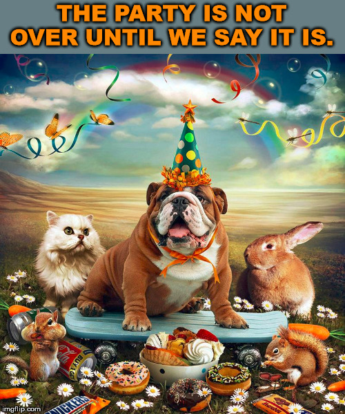 Party Animals | THE PARTY IS NOT OVER UNTIL WE SAY IT IS. | image tagged in party | made w/ Imgflip meme maker
