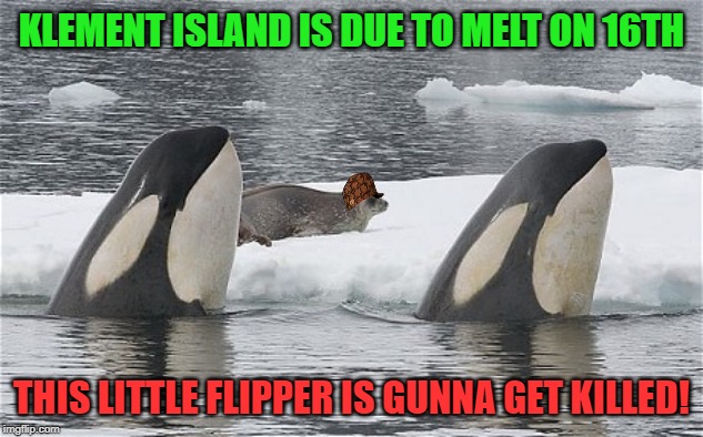 Roast Ricardo week! 16th-22nd Sep. Ricardo_Klement is a cool Fliper that's on thin ice! Please show your killer instincts on him | KLEMENT ISLAND IS DUE TO MELT ON 16TH; THIS LITTLE FLIPPER IS GUNNA GET KILLED! | image tagged in roast ricardo week,neo,british,scumbag,kill him,imgflip unite | made w/ Imgflip meme maker