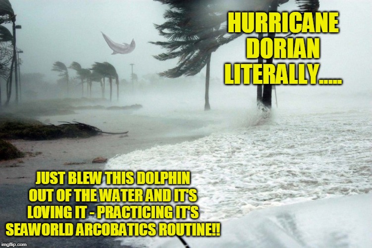 Hurricane Dorian Dolphin Sea World Acrobatics Routine Training Grounds... | HURRICANE DORIAN LITERALLY..... JUST BLEW THIS DOLPHIN OUT OF THE WATER AND IT'S LOVING IT - PRACTICING IT'S SEAWORLD ARCOBATICS ROUTINE!! | image tagged in hurricane dorian,dolphin,seaworld | made w/ Imgflip meme maker