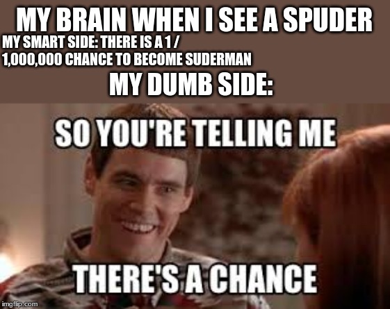 MY BRAIN WHEN I SEE A SPUDER; MY SMART SIDE: THERE IS A 1 / 1,000,000 CHANCE TO BECOME SUDERMAN; MY DUMB SIDE: | image tagged in memes | made w/ Imgflip meme maker