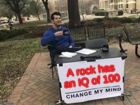 Change My Mind Meme | A rock has an IQ of 100 | image tagged in memes,change my mind | made w/ Imgflip meme maker
