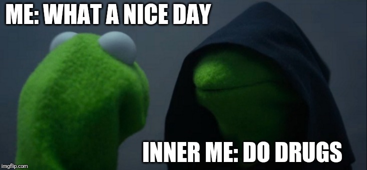 Evil Kermit | ME: WHAT A NICE DAY; INNER ME: DO DRUGS | image tagged in memes,evil kermit | made w/ Imgflip meme maker