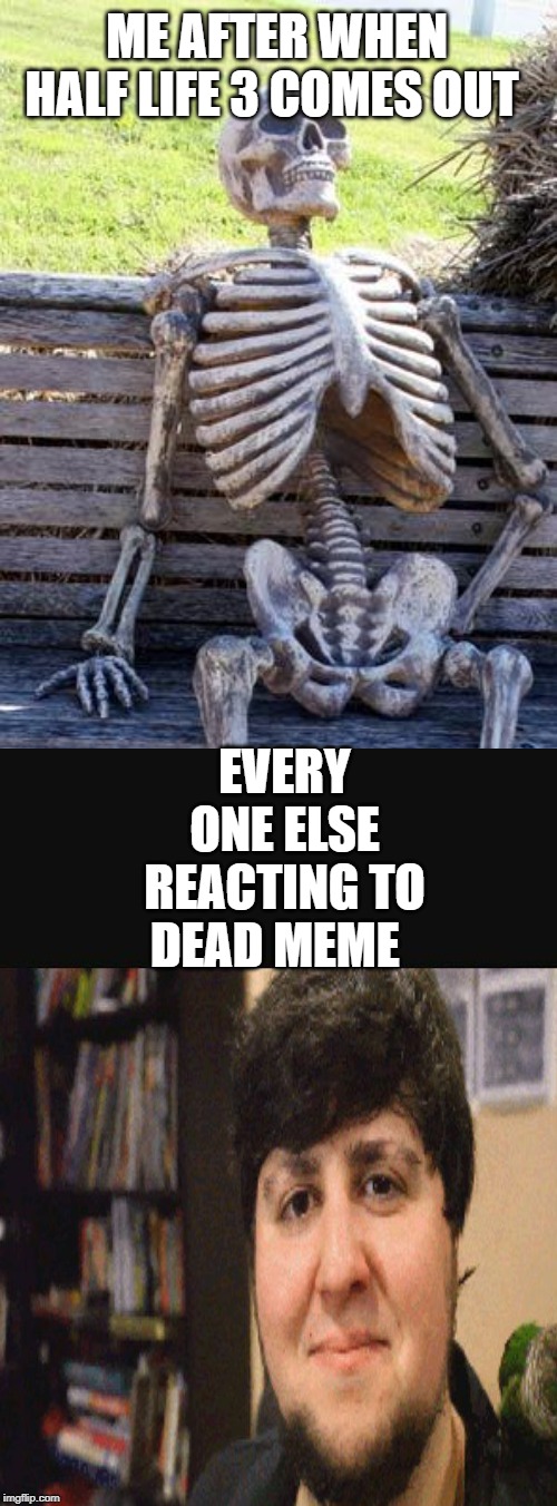 ME AFTER WHEN HALF LIFE 3 COMES OUT; EVERY ONE ELSE REACTING TO DEAD MEME | image tagged in memes,waiting skeleton | made w/ Imgflip meme maker