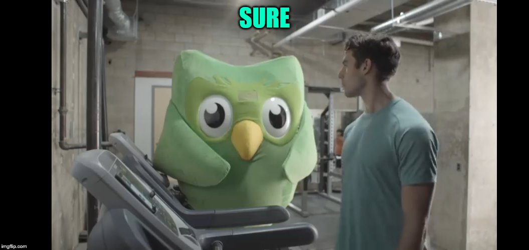 At the gym | SURE | image tagged in at the gym | made w/ Imgflip meme maker