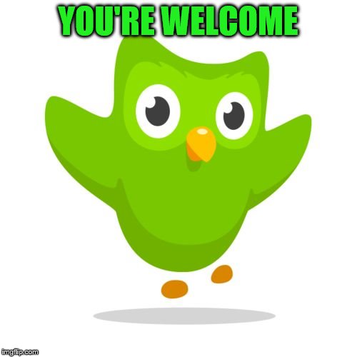 things duolingo teaches you | YOU'RE WELCOME | image tagged in things duolingo teaches you | made w/ Imgflip meme maker