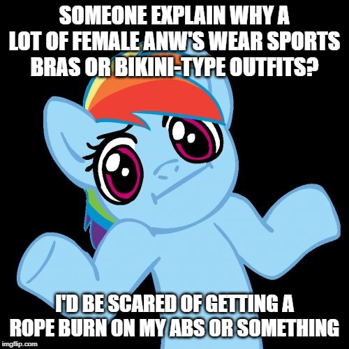 Pony Shrugs | SOMEONE EXPLAIN WHY A LOT OF FEMALE ANW'S WEAR SPORTS BRAS OR BIKINI-TYPE OUTFITS? I'D BE SCARED OF GETTING A ROPE BURN ON MY ABS OR SOMETHING | image tagged in memes,pony shrugs | made w/ Imgflip meme maker